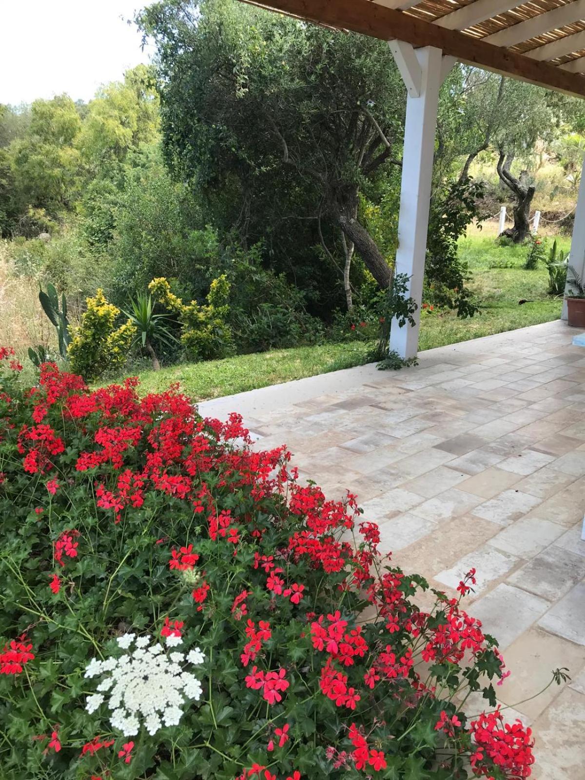 Hotel La Fragola In Campagna 6 K M Da San Pantaleo Exterior foto
