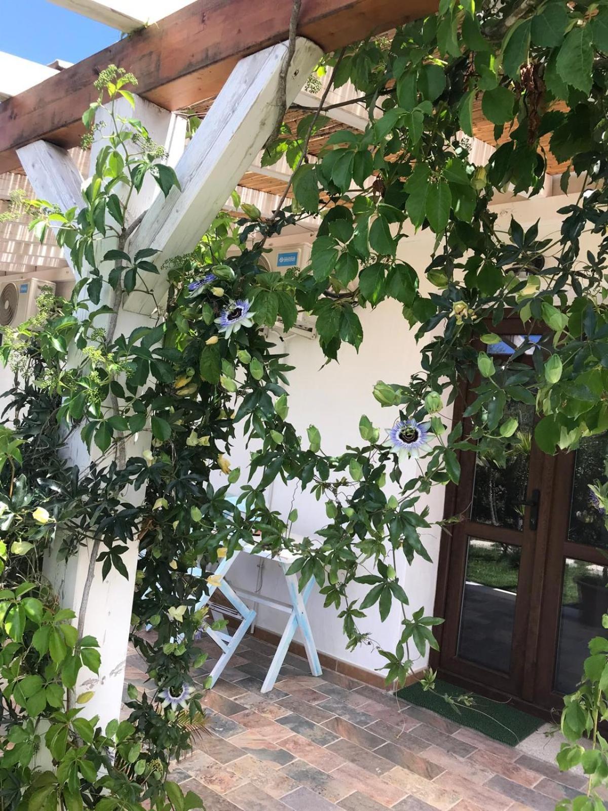 Hotel La Fragola In Campagna 6 K M Da San Pantaleo Exterior foto